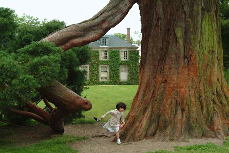 0026_sequoia_Pavillon-Jussieu_Petit-Trianon_Versailles_Jacques-de-Givry
