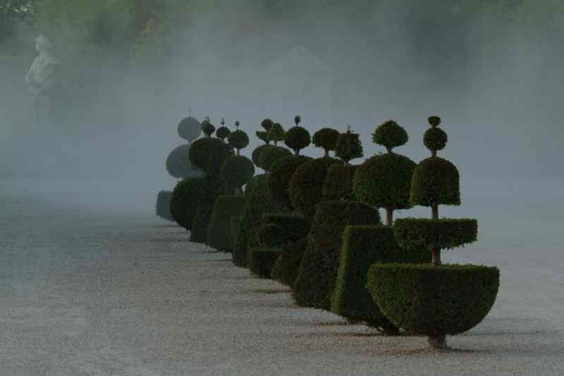 0032_Topiaires_poussiere_Versailles_Jacques-de-Givry
