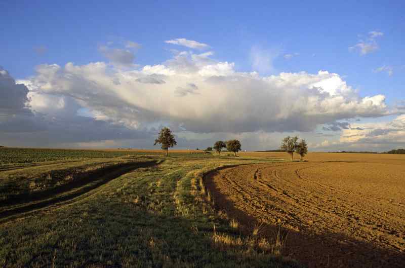 0081_La ligne des Puits_Toussus-le-Noble_Plateau-de-saclay_Jacques-de-Givry