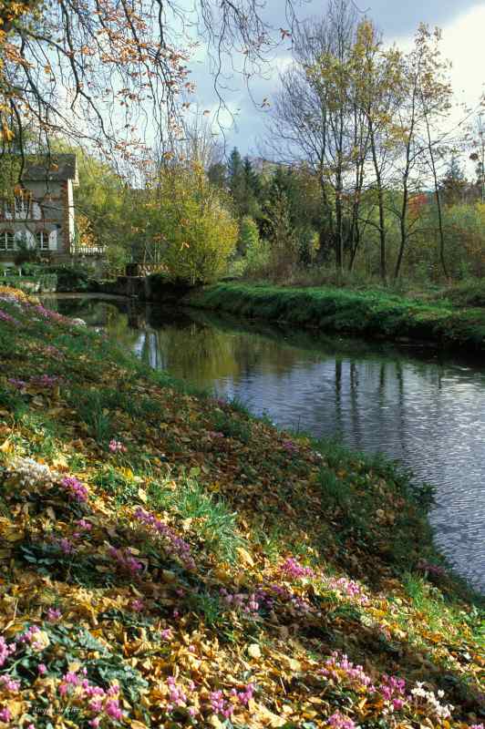 0089_Saint-Forget_Haute-Vallee-de-Chevreuse_Jacques-de-Givry