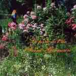 24-le-parc-de-l-ile-saint-germain-jacques-de-givry