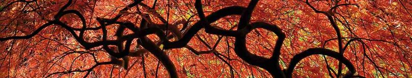 JdG-jacques-de-givry-Bandeau